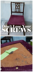 Dont-Lose-Your-Screws!