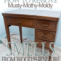 remove-musty-smells-from-furniture