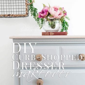 DIY Curb-Shopped Dresser Makeover SIBlog