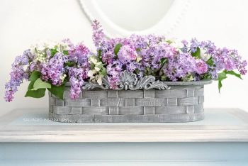 Lilacs in Painted Basket