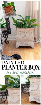 Painted Planter Box PIN