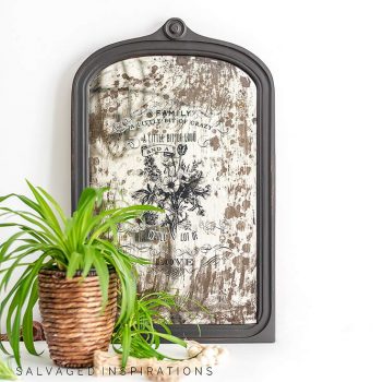 Distressed Vintage Mirror w Plant