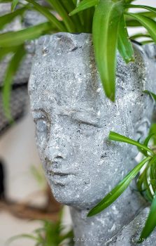 Close Up DIY Concrete Planter Head