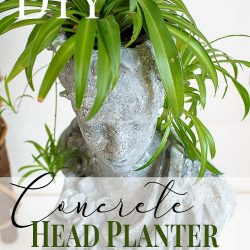 DIY Concrete Head Planter