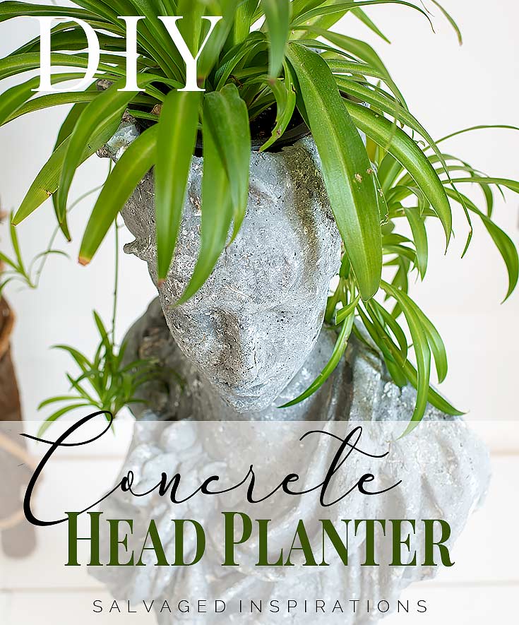 8 inches tall Concrete Tall Wrap head Face planter vase 