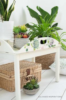Succulent Tray Table Makeover