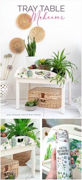 Tray Table Makeover PIN