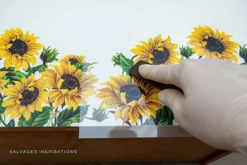 Rubbing On Sunflower Transfer