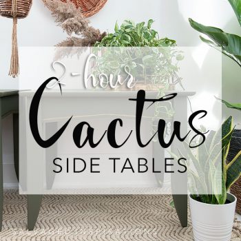 2 Hour Cactus Side Tables txt