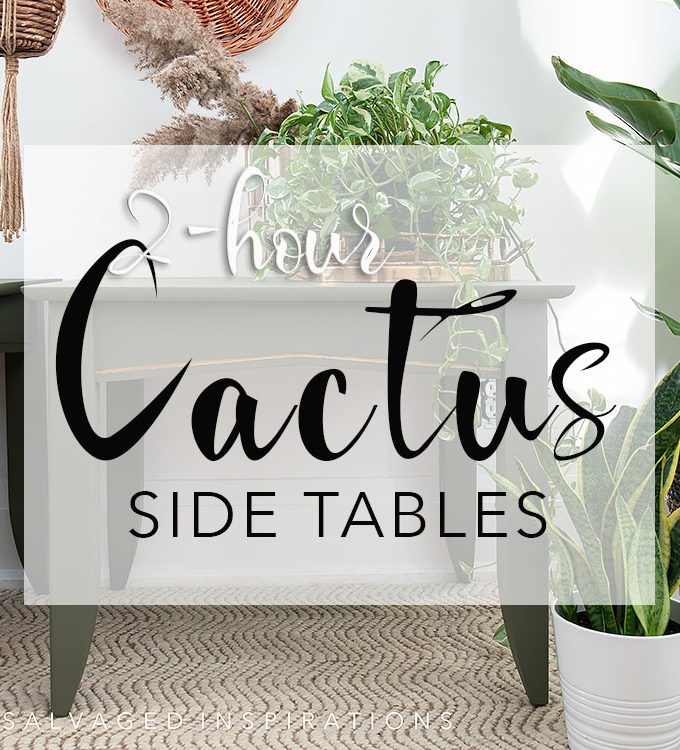 2 Hour Cactus Side Tables txt