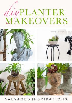 DIY Planter Makeovers TXT