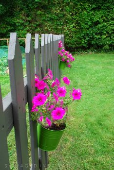 Flowers on Picket Fence