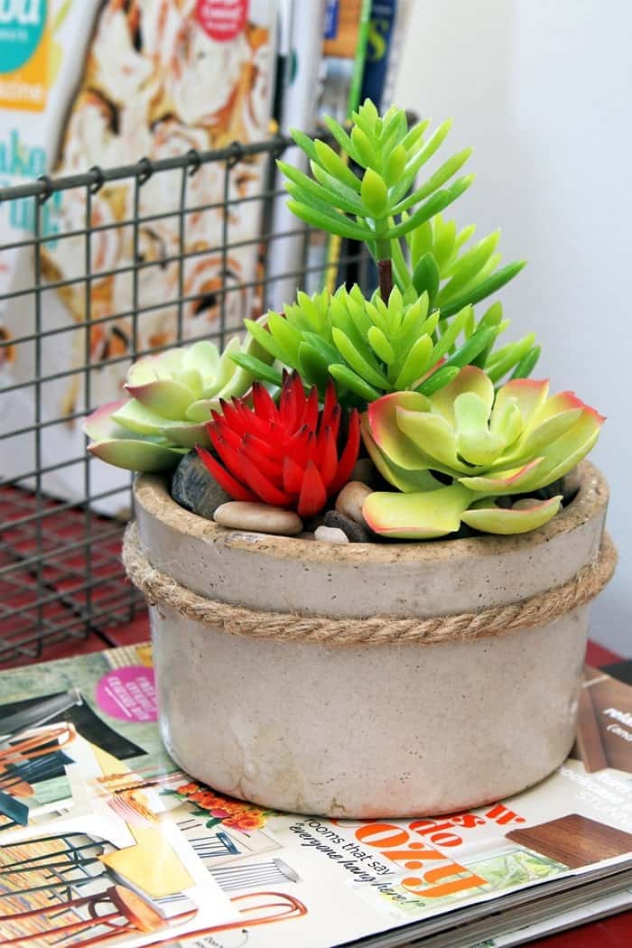 faux-succulent-container-or-planter_thumb