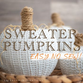 Sweater Pumpkins Easy NO SEW IG