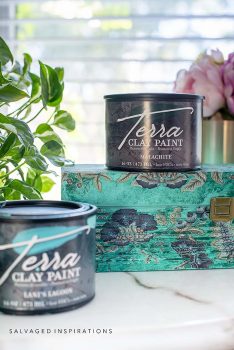 Terra Clay Paint Review