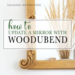 How To Update A Mirror With Woodubend