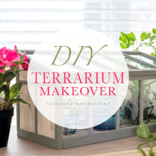 DIY Terrarium Makeover txt
