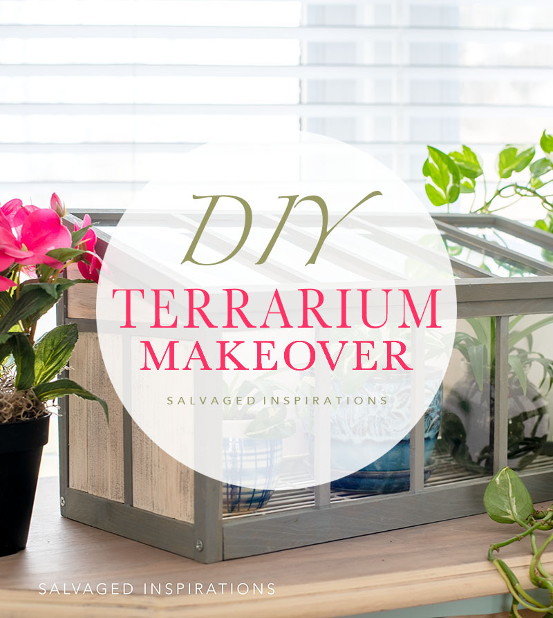 DIY Terrarium Makeover txt