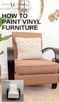 How to CHANGE THE COLOR of Vinyl Furniture PIN
