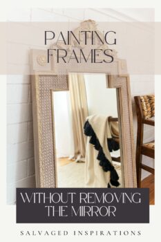 PAINTING FRAMES WITHOUT REMOVING THE MIRROR