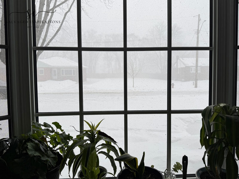 white out snow storm siblog