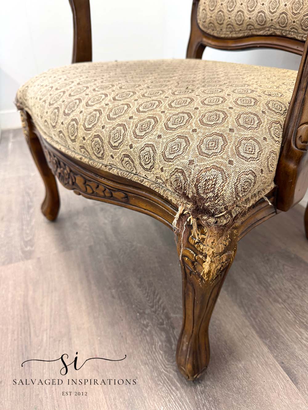 Chewed up Corner of Vintage Chair