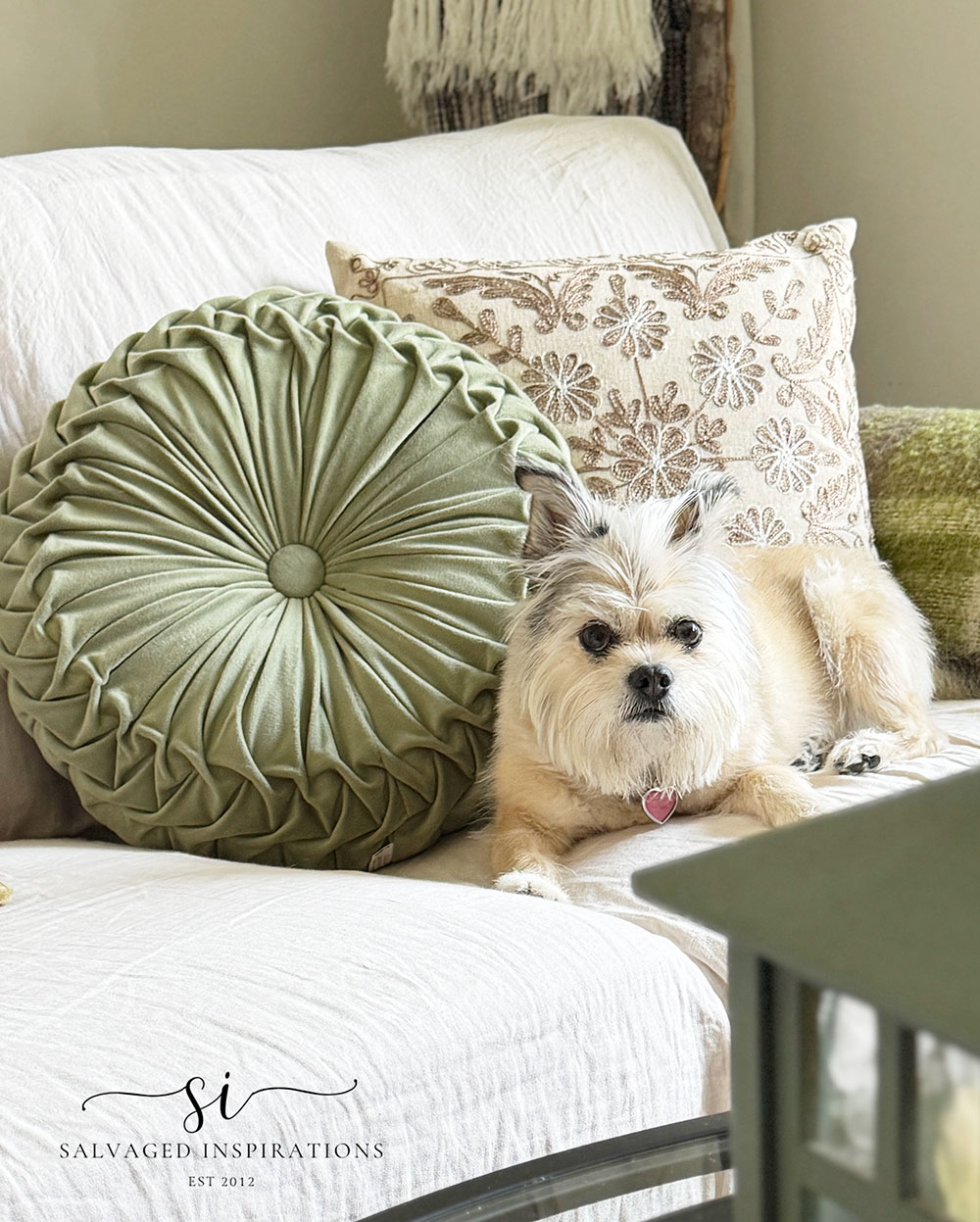 Gidget Approved Embroidered Thrift Pillow