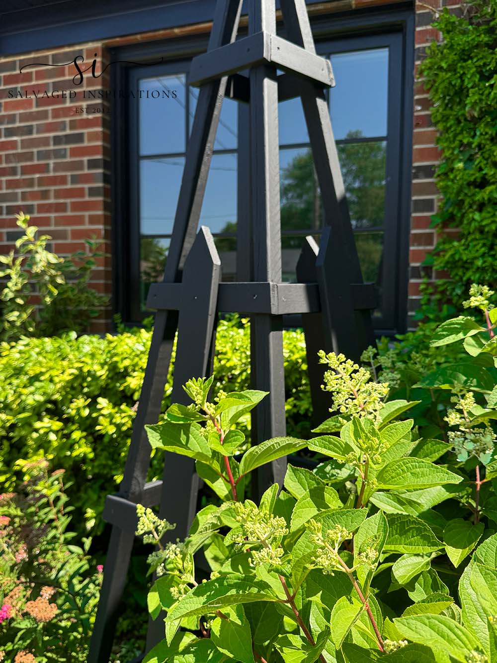 Side View Close Up of Obelisk DIY Trellis