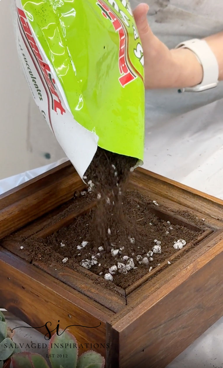 Adding Succulent Potting Soil