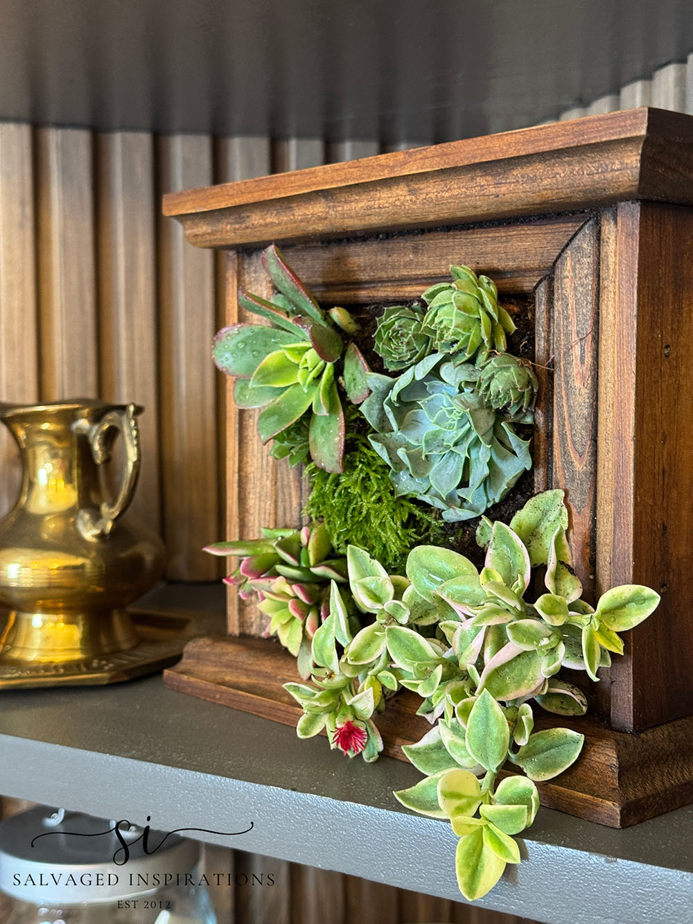DIY Succulent Frame
