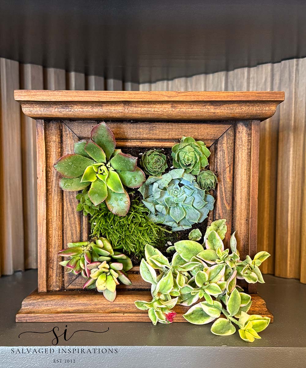 Front Live Succulent Art With 80s Clock Frame