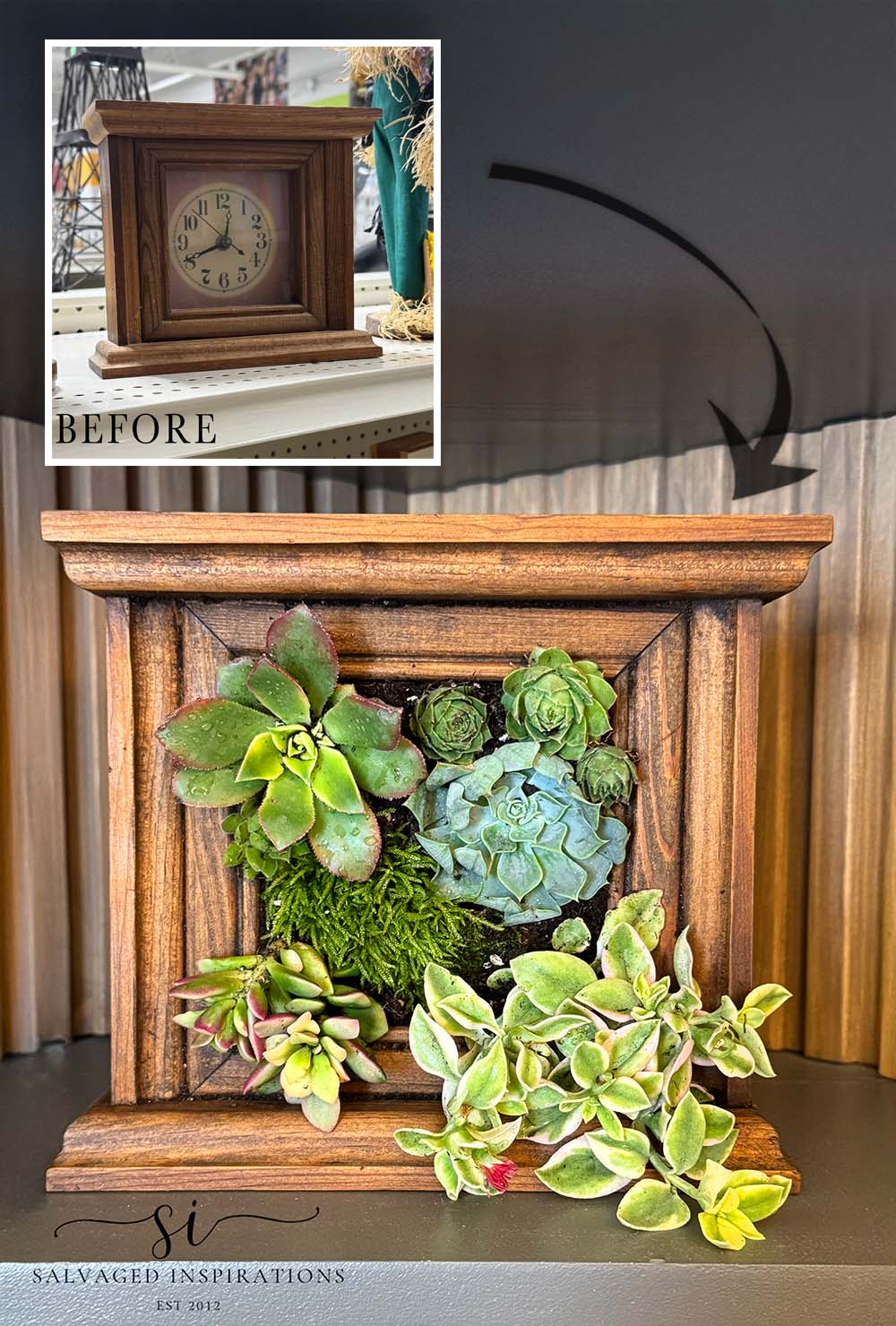 Thrift Clock Turned Succulent Planter BEfore and After