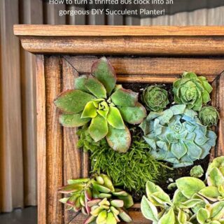 Turn ANY Thrift Clock Into A DIY Succulent Planter