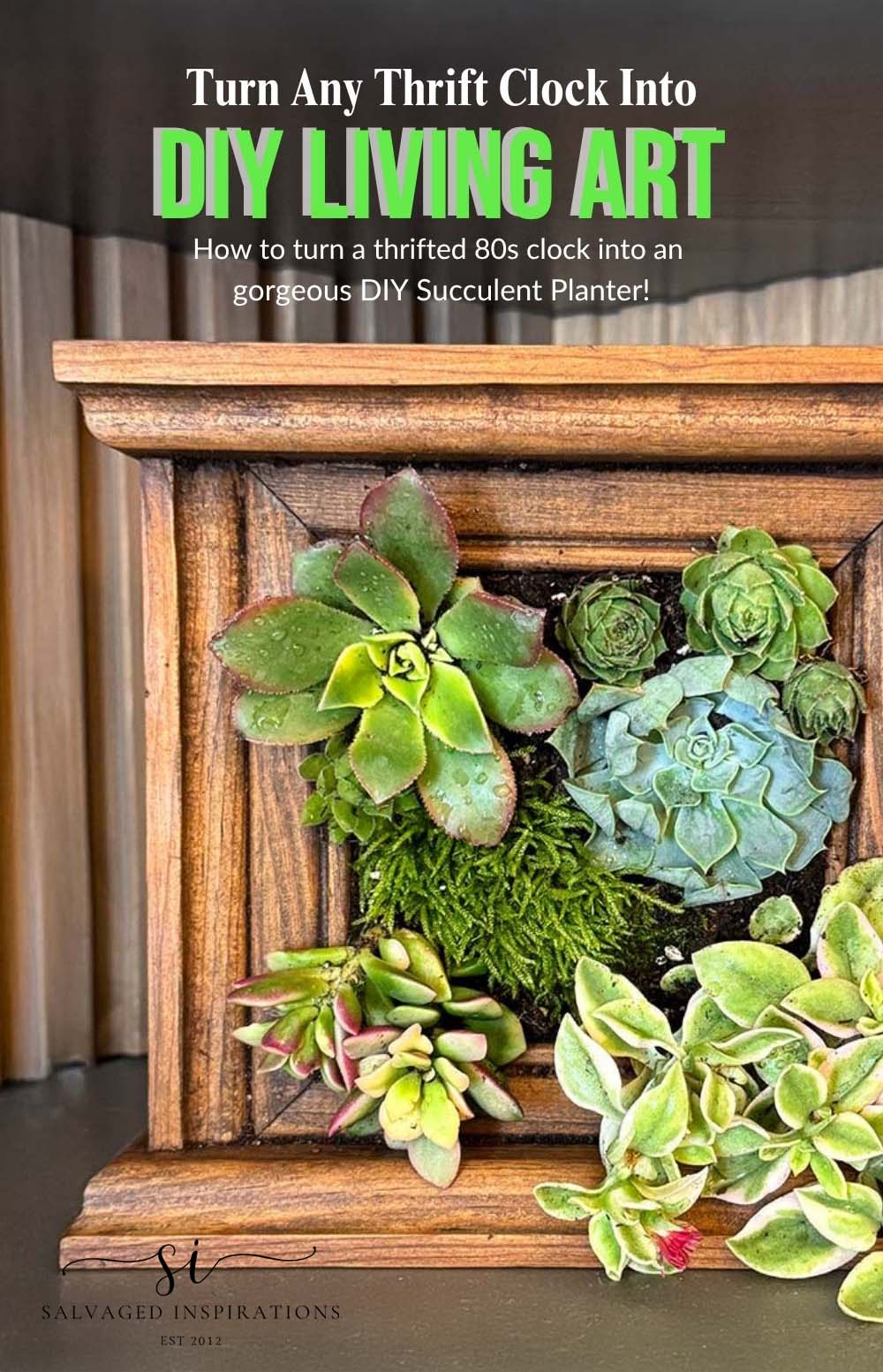 Turn ANY Thrift Clock Into A DIY Succulent Planter