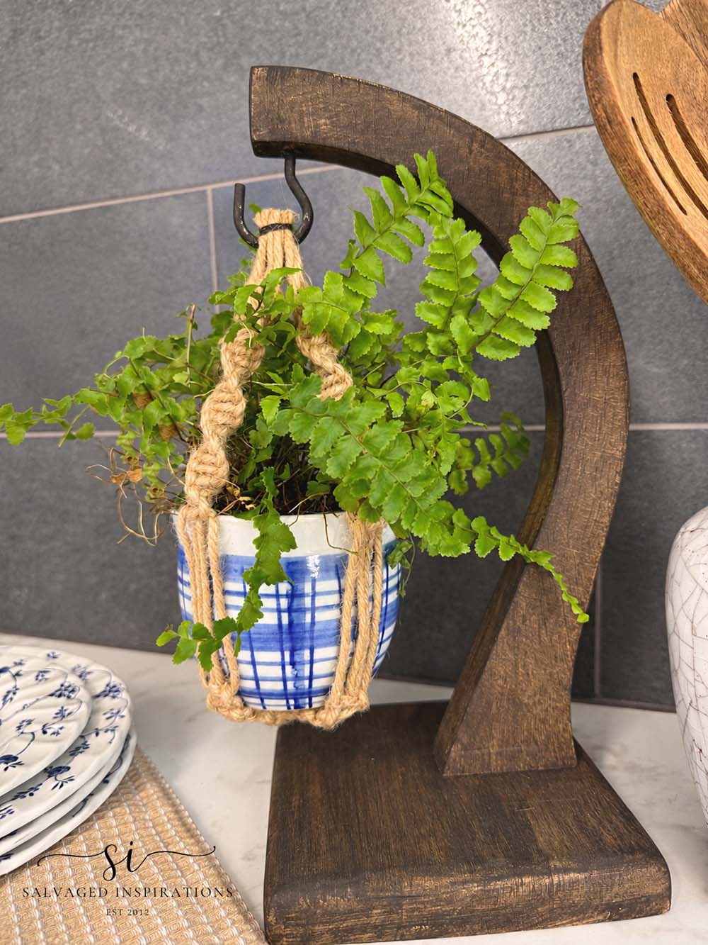 Kitchen Banana Plant Holder Display